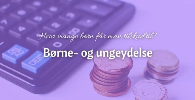 Hvor mange børn får man tilskud til?